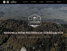 Tablet Screenshot of krasnybor.pl